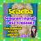 China Supplier 5cladba precursor raw 5cl-adba